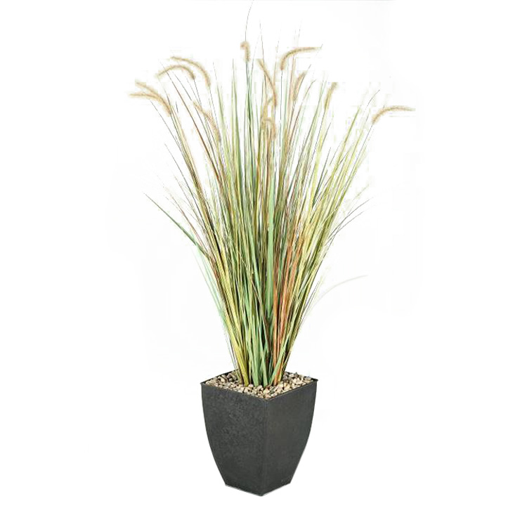 Onion Grass in Large Black Cardinal Planter - 313412