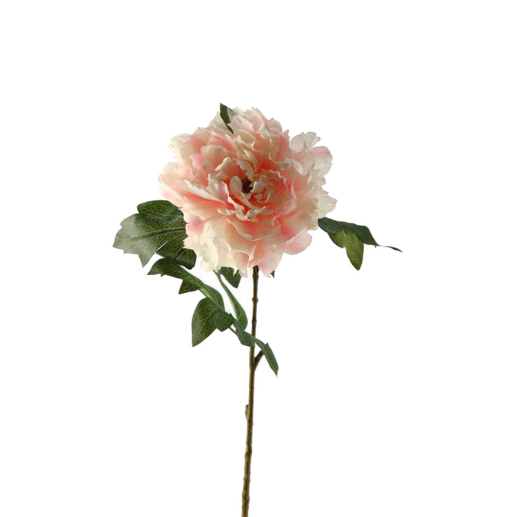 Pink Sherbet Peony Stem - FL1667
