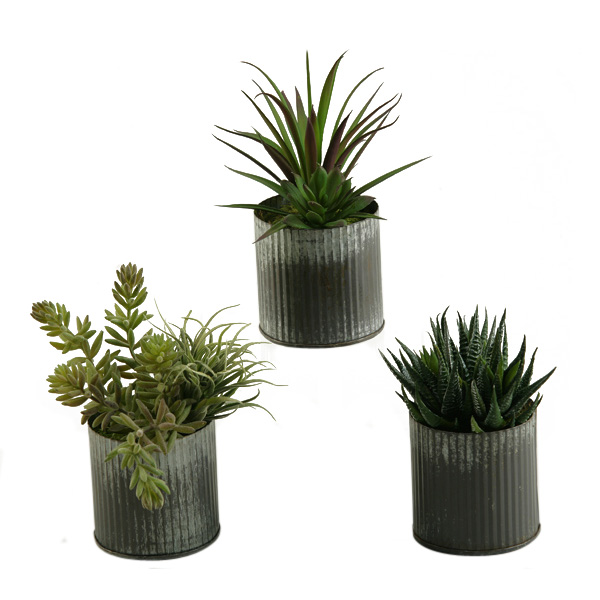 Set of 3 - Aloe,  and Easter Grass in Small Harvest Vase - 154045