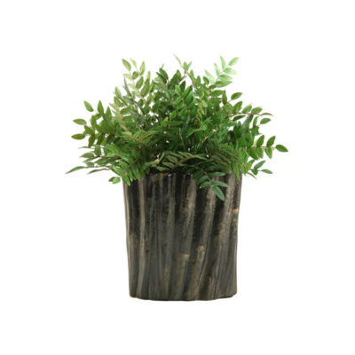 Green Locust Spray in Large Ripple Planter - 156028