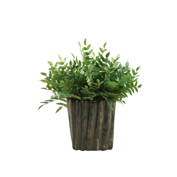 Green Locust Spray in Medium Ripple Planter - 156029