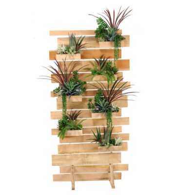 Succulent Living Wall - 315942