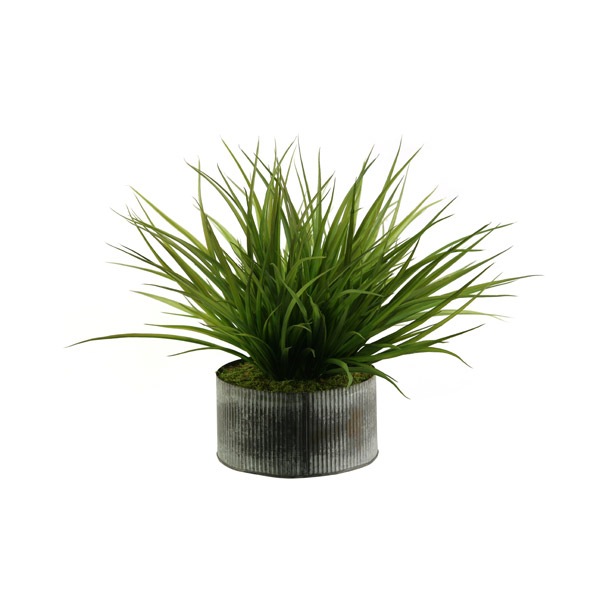 Wild Grass in XS Harvest Vase - 159133