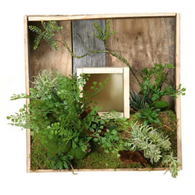 Wooden Shadow Box with Mixed Fern and Succulents - 161036