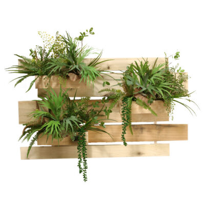 Wooden Slatted Wall Section with Mini Staghorn Fern and Flat Iron Fern - 164040