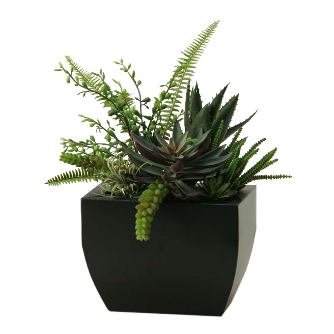 Aloe, Echeveria, and  in Rectangle Metal Planter - 167014