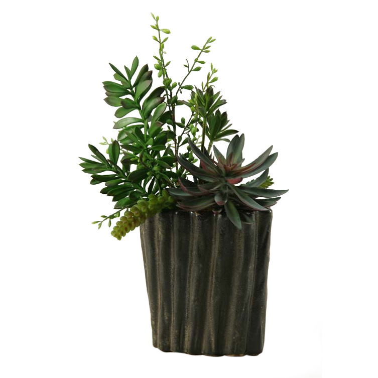 , Aloe, and Dracaena Heads in Large Ripple Planter - 167015