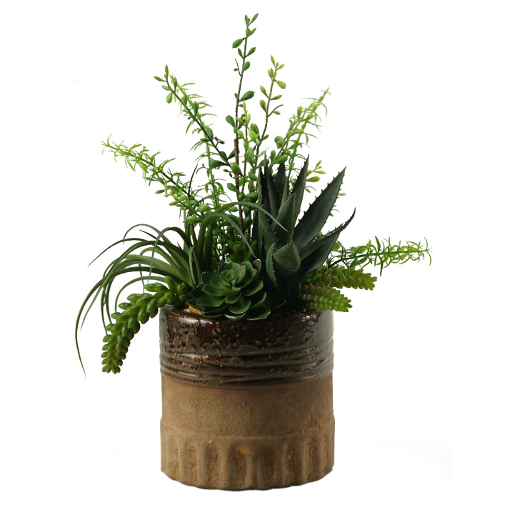 Aloe, tillandsia and echeveria in round ceramic planter ...