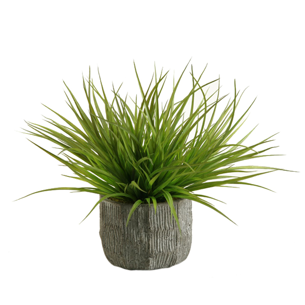 Wild Grass in Ridge Planter - 156031