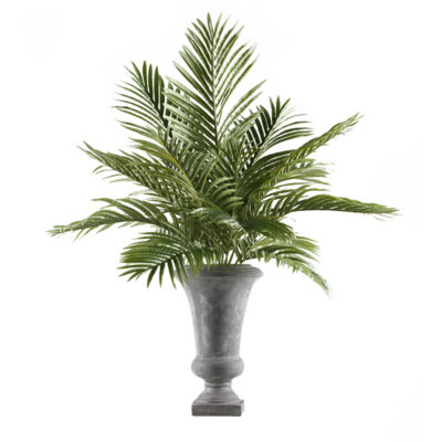 Hawaiian Palm Fronds in Small Vasque Planter - 174016