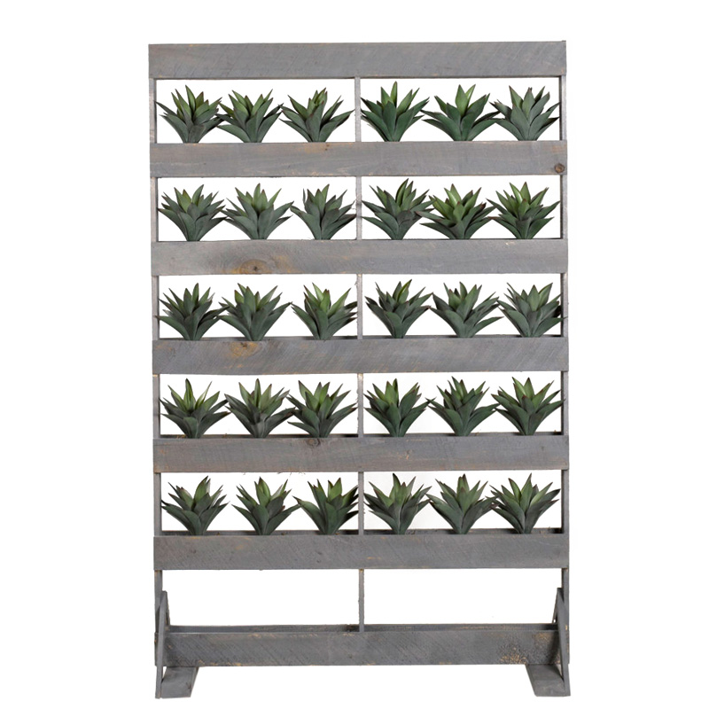 Striped Agave in Wooden Screen with Shelves - 317115