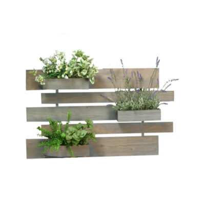 Mixed Herbs and Lavender On Grey Stained Hanging Wooden Wall - 169055