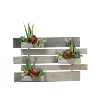 Assorted Succulents On Grey Stained Hanging Wooden Wall - 169056
