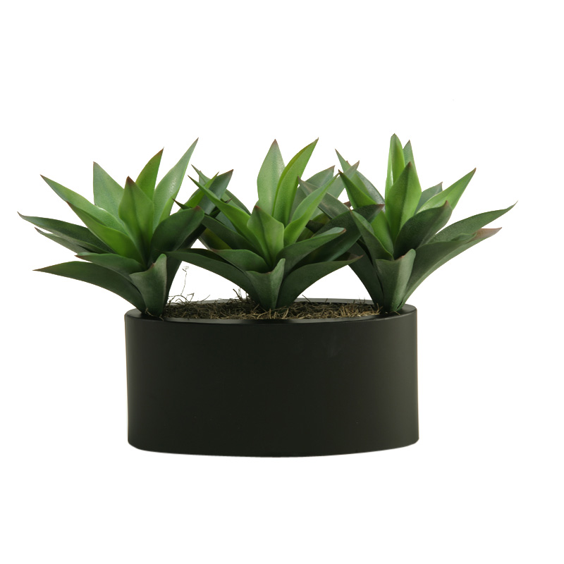 Green Aloe Plants in Smith Planter - 169059