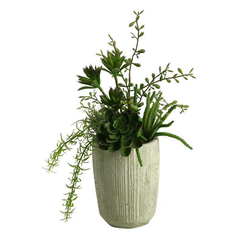 Mini Dracaena Heads, , Sprengeri and Easter Grass in Cement Cylinder - 169065