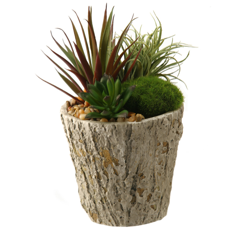 Easter Grass and Succulent in Small Genevieve Planter - 161073