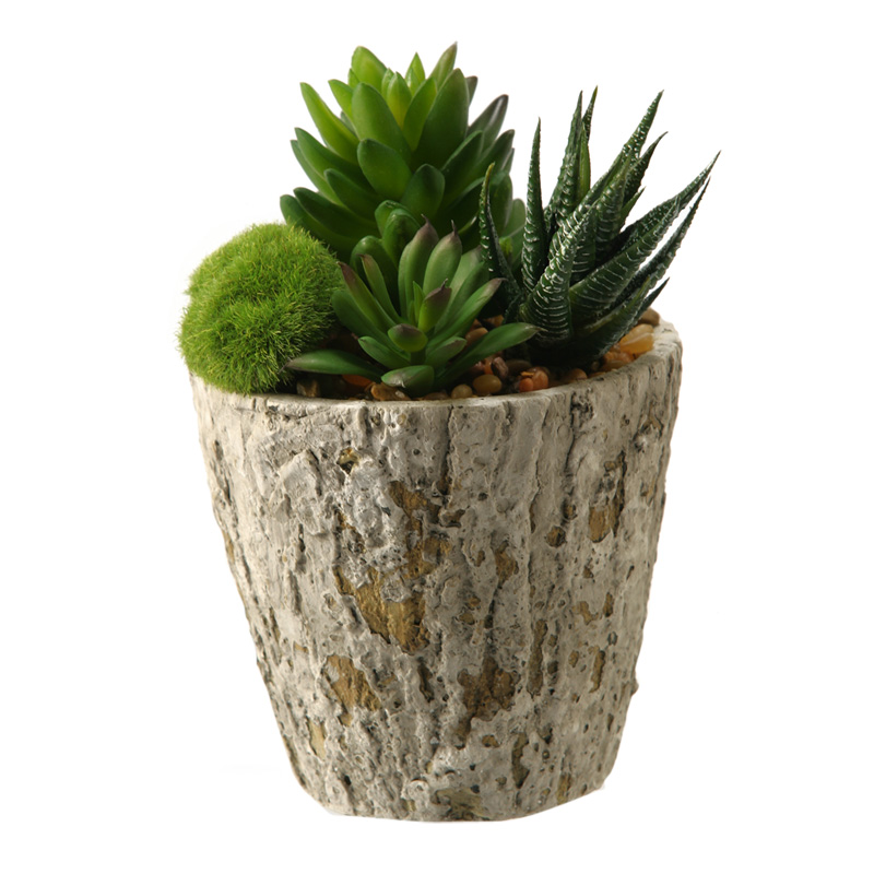 Aloe and Succulent in Small Genevieve Planter - 161074