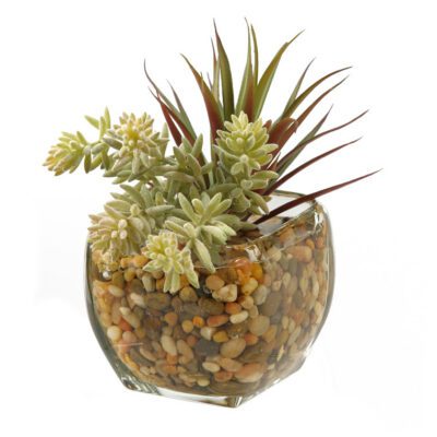 Mini Yucca & Burro's Tail in Bevel Vase - 161088