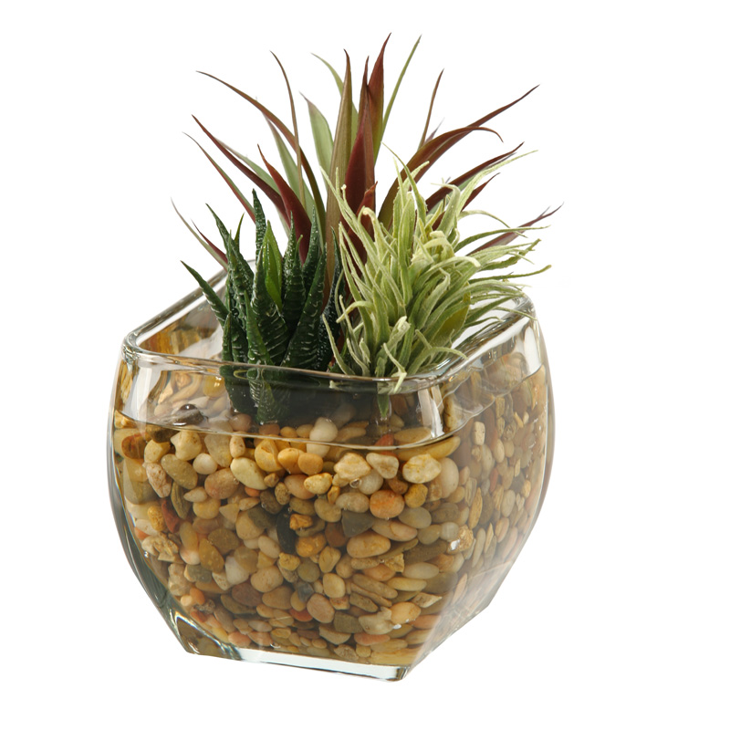 Aloe, Easter Grass and Mini Yucca in Bevel Vase - 161091