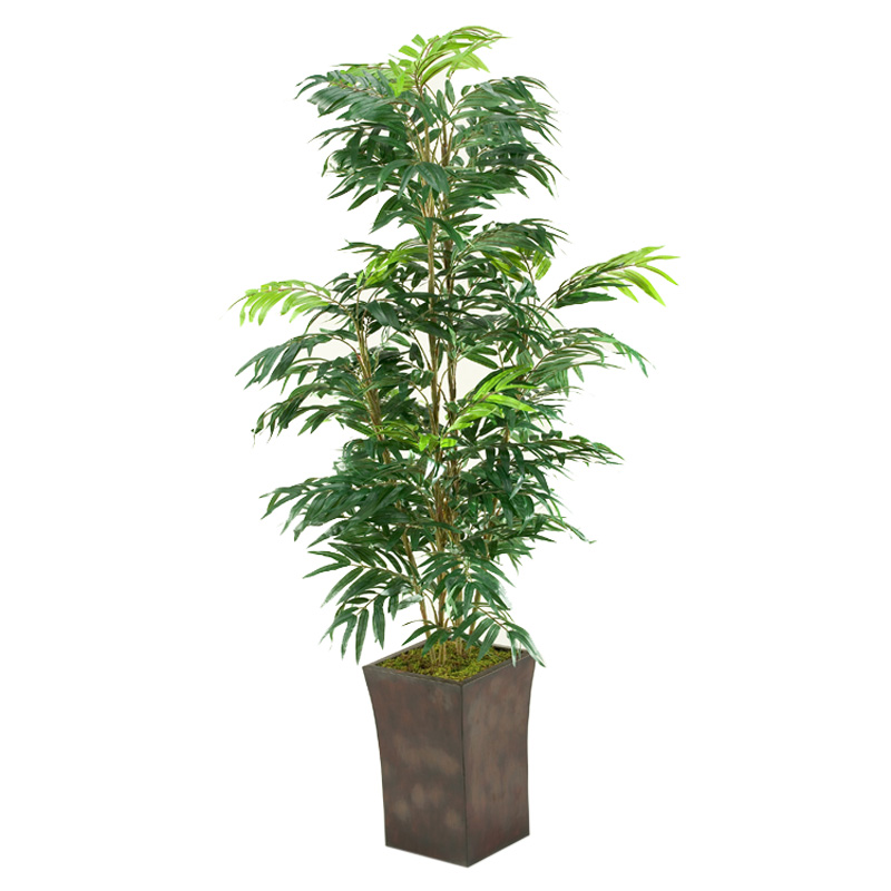 6' Phoenix Palm Tree in Heritage Planter - 39230