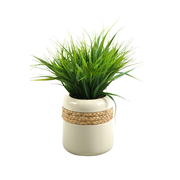 Wild Grass in Small Gemma Planter - 109406