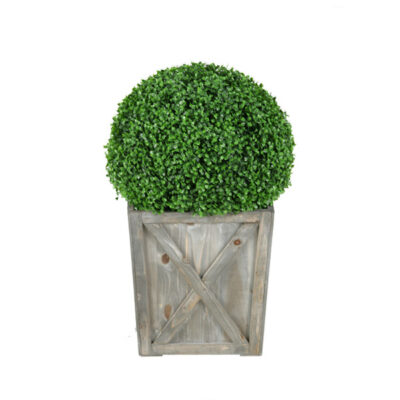 Boxwood Ball in Medium Grange Planter - 315421