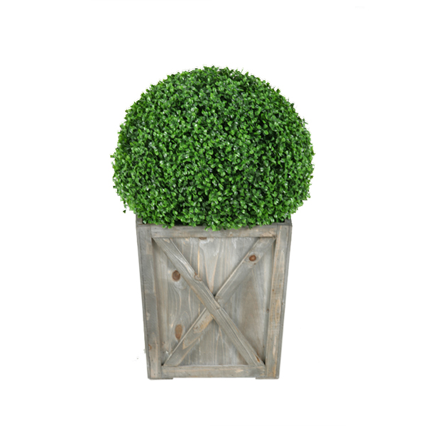 Boxwood Ball in Medium Grange Planter - 315421