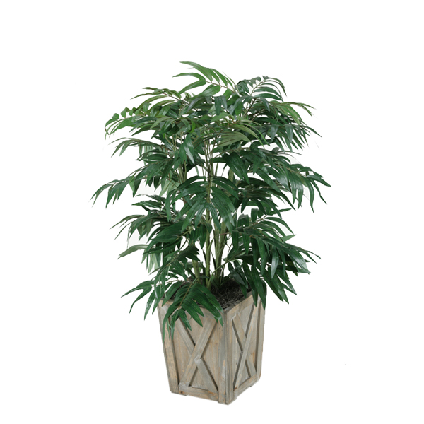 3' Phoenix Palm in Small Grange Planter - 315420