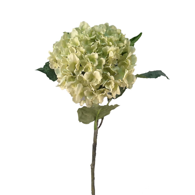 Green Hydrangea Stem - FL1991