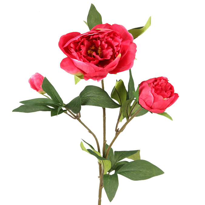 Burgundy Peony Stem - FL1997
