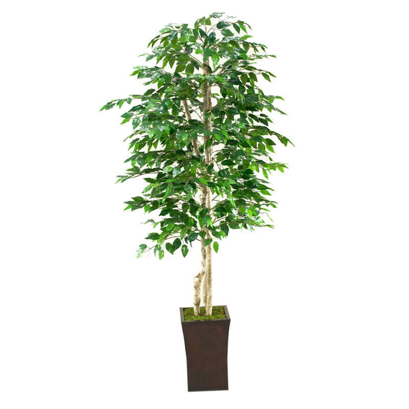 7' Green Ficus Tree in Heritage Planter - 39225