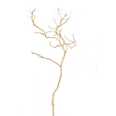 Small Bushy Sandblasted Dragonwood Trunk - TL619