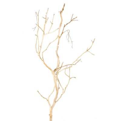 Large Bush Sandblasted Dragonwood Trunk - TL618