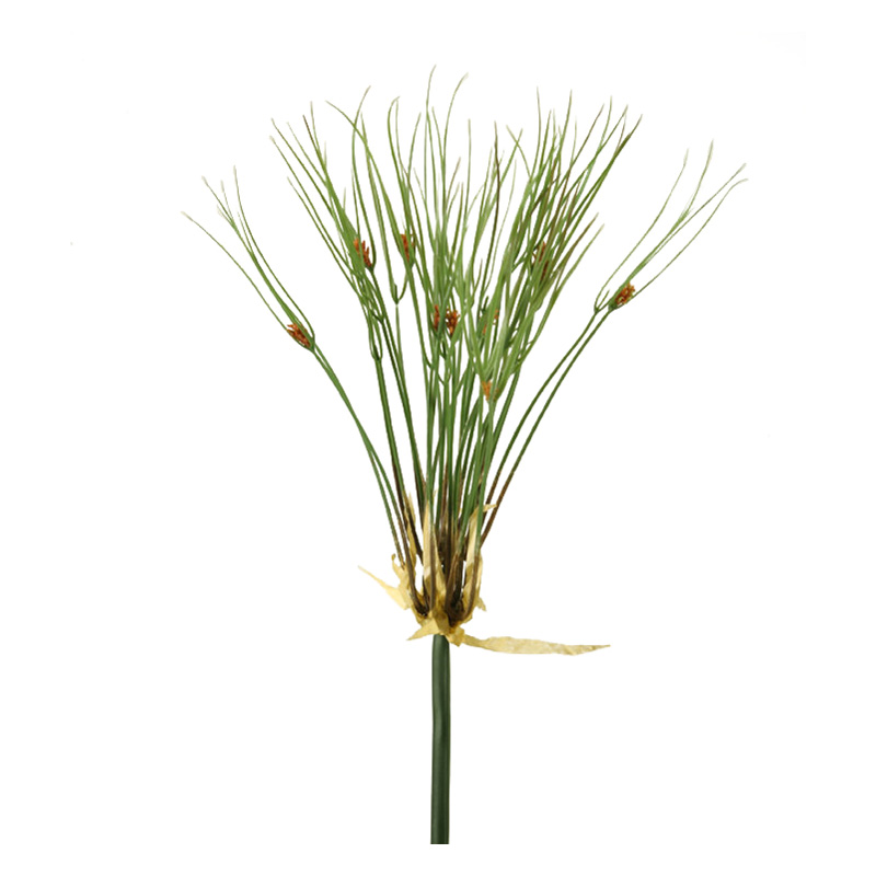 33" Water Grass Bush - GR1928