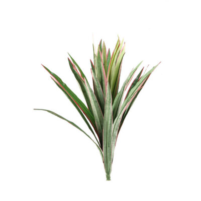 Dracaena Stem - GR1296