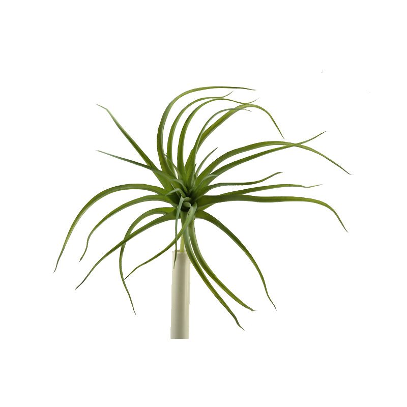 Light Green Tillandsia - GR1884