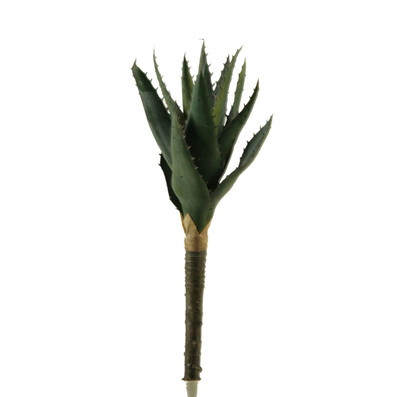 Small Aloe Plant - GR1869 - D&W Silks