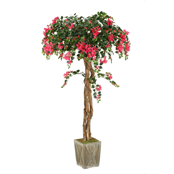 6' Bouganvillea Tree in Weathred Wooden Box - 316420 - D&W Silks