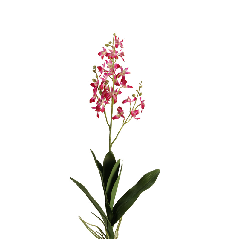Pink Dendrobium Orchid Stem - FL2339