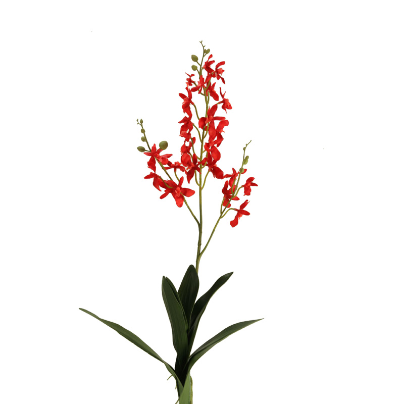 Red Dendrobium Orchid Stem - FL2340