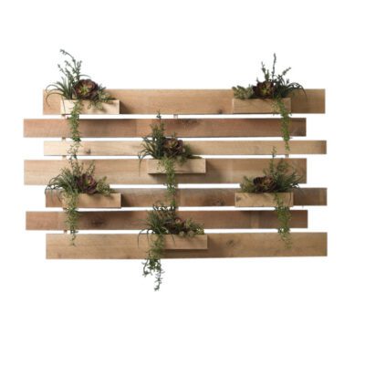 Echeveria, Pittosporum & Burro's Tail On Extra Large Wooden Slat Wall - 181003