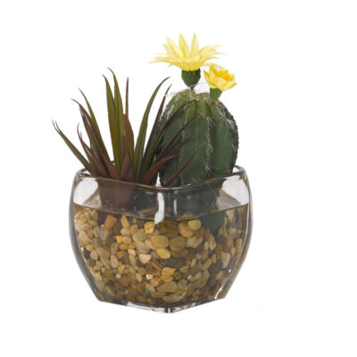 Mini Oval Cactus and Aloe in Bevel Vase - 184035
