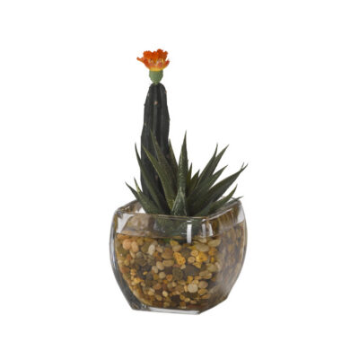 Mini Column Cactus and Aloe in Bevel Vase - 184037