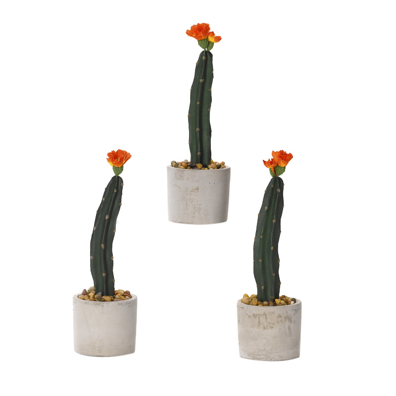 Mini Column Cactus in Devon Vase - Set of 3 - 184051