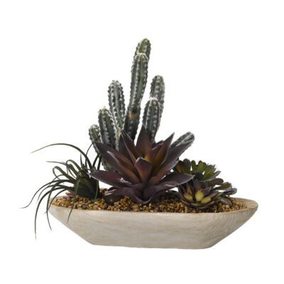 Cactus & Assorted Succulents in Ambrose Oval Bowl - 184062