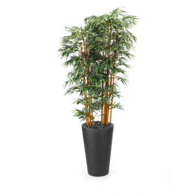 9' Bamboo Tree in Tall Round Black Planter - 318102