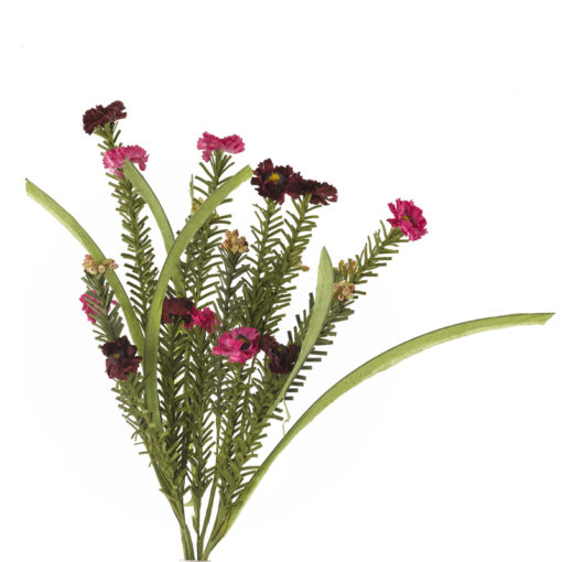 Light Pink Wild Flower Bush - FL2413