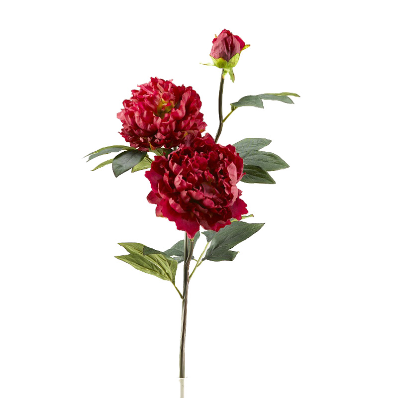 Dark Pink Peony Stem - FL2376