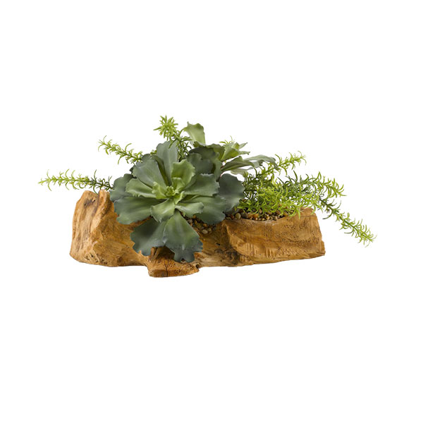 Large Ruffled Echeveria and Rosemary in Drift Planter - 187003