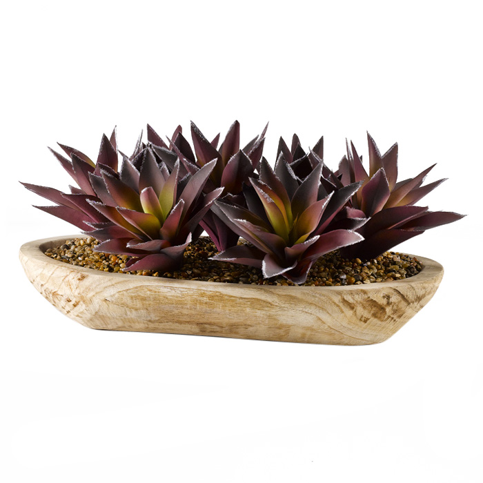 Purple/Green Aloe Plants in Ambrose Oval Bowl - 187010